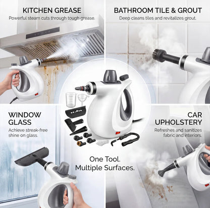 Lustre PureSteam Pro